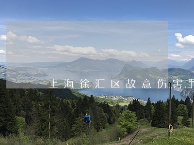 上海徐汇区故意伤害罪律师前十名