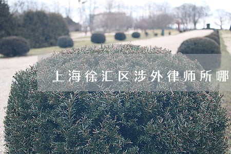 上海徐汇区涉外律师所哪个最专业 上海徐汇区涉外律师所哪个最专业