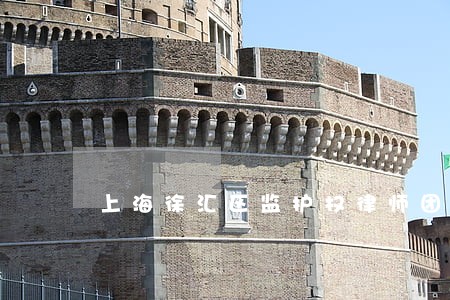 上海徐汇区监护权律师团