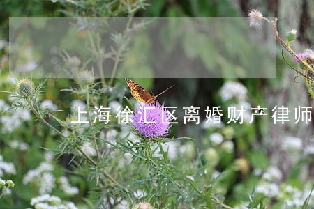 上海徐汇区离婚财产律师找谁 上海徐汇区离婚财产律师找谁