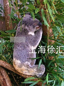 上海徐汇区诉讼调解地址 上海徐汇区诉讼调解地址
