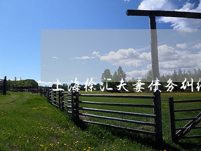 上海徐汇夫妻债务纠纷律师介绍 上海徐汇夫妻债务纠纷律师介绍