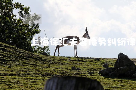 上海徐汇夫妻债务纠纷律师排行 上海徐汇夫妻债务纠纷律师排行