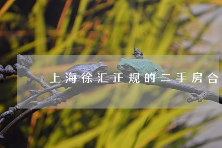 上海徐汇正规的二手房合同律师 上海徐汇正规的二手房合同律师
