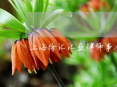 上海徐汇汇业律师事务所 上海徐汇汇业律师事务所