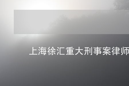 上海徐汇重大刑事案律师哪个好 上海徐汇重大刑事案律师哪个好