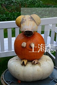 上海怎么买法院拍卖