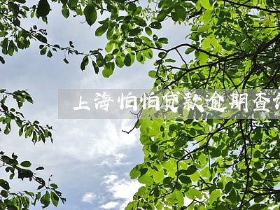 上海怕怕贷款逾期查询 上海怕怕贷款逾期查询