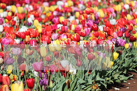 上海思达奇法律诉讼