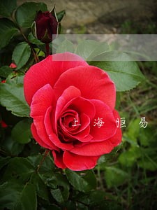 上海恒易融线下逾期