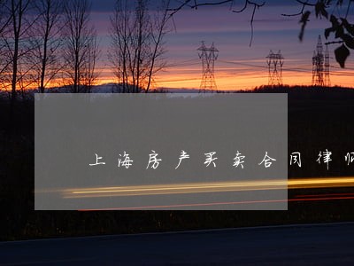 上海房产买卖合同律师咨询电话 上海房产买卖合同律师咨询电话