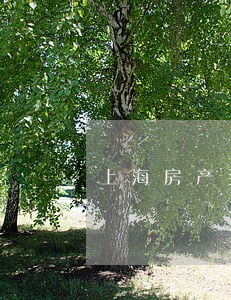 上海房产买卖合同律师网站 上海房产买卖合同律师网站
