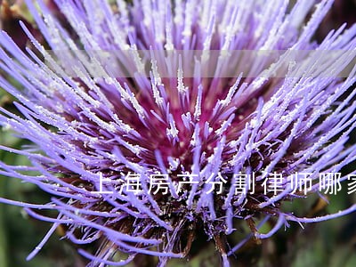 上海房产分割律师哪家好 上海房产分割律师哪家好