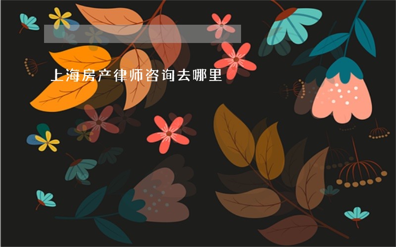 上海房产律师咨询去哪里