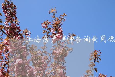 上海房产律师咨询费用低
