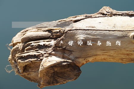 上海房产律师服务热线 上海房产律师服务热线