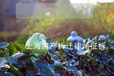 上海房产拆迁律师征拆 上海房产拆迁律师征拆