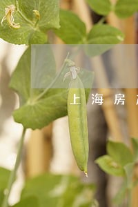 上海房产继承纠纷律师费用 上海房产继承纠纷律师费用
