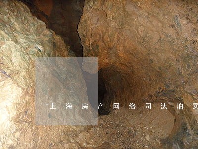 上海房产网络司法拍卖规则流程 上海房产网络司法拍卖规则流程