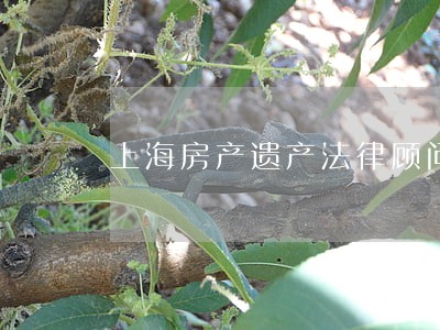 上海房产遗产法律顾问 上海房产遗产法律顾问