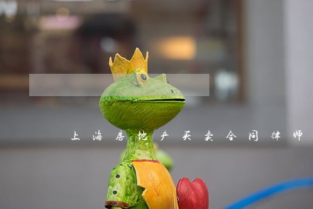 上海房地产买卖合同律师 上海房地产买卖合同律师
