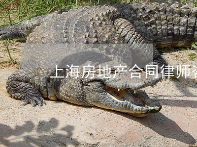 上海房地产合同律师咨询比较厉害 上海房地产合同律师咨询比较厉害