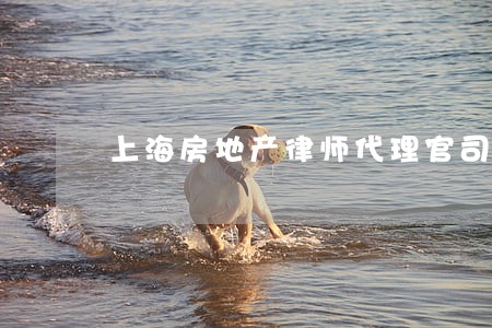 上海房地产律师代理官司 上海房地产律师代理官司