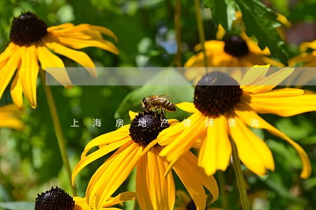 上海房地产律师咨询 上海房地产律师咨询
