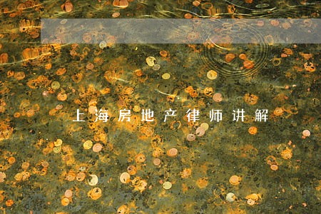 上海房地产律师讲解