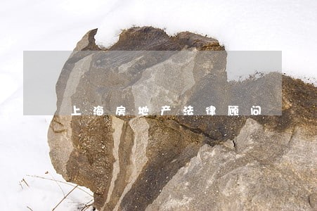 上海房地产法律顾问 上海房地产法律顾问