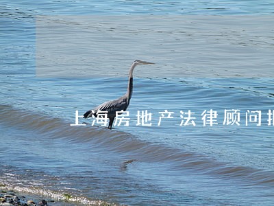 上海房地产法律顾问报价 上海房地产法律顾问报价