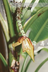 上海房地产纠纷律师6 上海房地产纠纷律师6