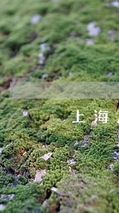 上海房屋买卖法律咨询 上海房屋买卖法律咨询