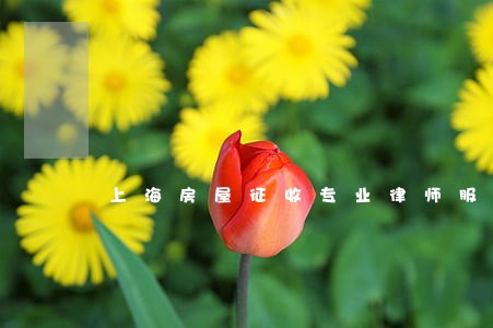上海房屋征收专业律师服务好得 上海房屋征收专业律师服务好得