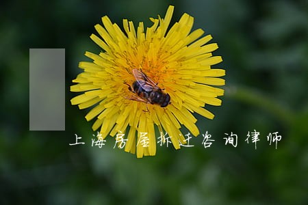 上海房屋拆迁咨询律师 上海房屋拆迁咨询律师