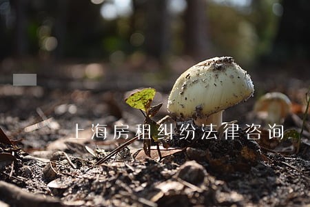 上海房租纠纷法律咨询 上海房租纠纷法律咨询