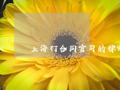 上海打合同官司的律师 上海打合同官司的律师