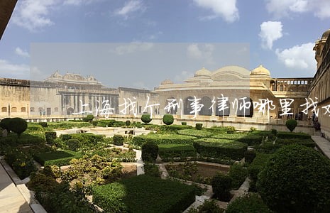 上海找个刑事律师哪里找欢迎咨询