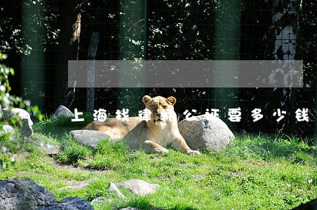 上海找律师公证要多少钱 上海找律师公证要多少钱