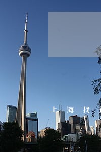 上海找律师离婚要多少钱 上海找律师离婚要多少钱