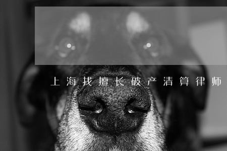 上海找擅长破产清算律师 上海找擅长破产清算律师