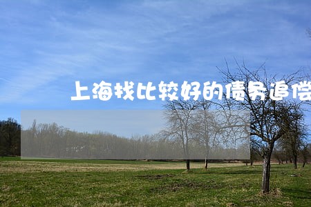 上海找比较好的债务追偿律师团队 上海找比较好的债务追偿律师团队