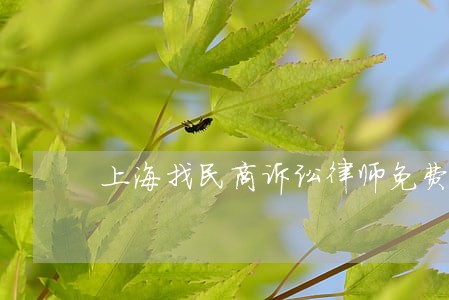上海找民商诉讼律师免费法律咨询 上海找民商诉讼律师免费法律咨询