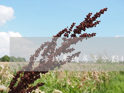 上海找离婚房子分割律师法律服务