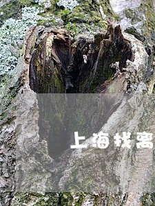 上海找离婚房子分割律师联系方式 上海找离婚房子分割律师联系方式