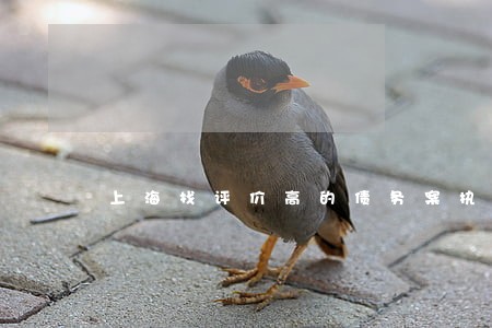 上海找评价高的债务案执行律师 上海找评价高的债务案执行律师