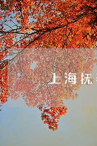 上海抚养权律师咨询电话 上海抚养权律师咨询电话