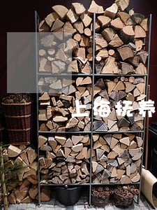 上海抚养权纠纷法律咨询 上海抚养权纠纷法律咨询