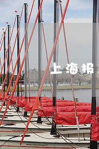 上海报复性离婚真相