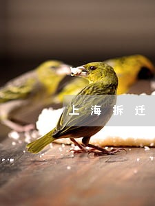 上海拆迁律师排名表 上海拆迁律师排名表